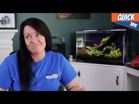 The Best Way To Prep Water  For An Aquarium?