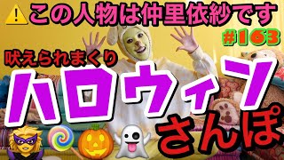 ハロウィンだから仮装してお散歩したけど全く気づかれなかった〜完全なる不審者で犬にバチバチに吠えられまくって草?
