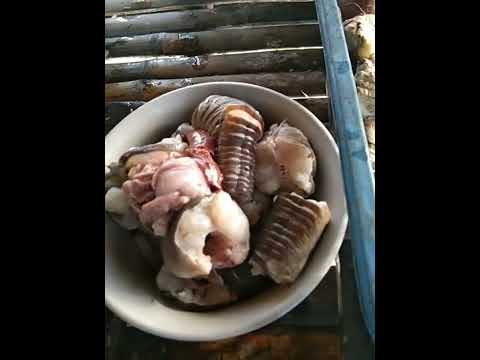 ogdok or ell sa palaisdaan...lotong kardilyo ng mga ilonggo😋😋😋