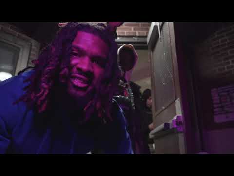 STAINO X QUAN FLOXKS GATES DIR. HARVARDSEYE