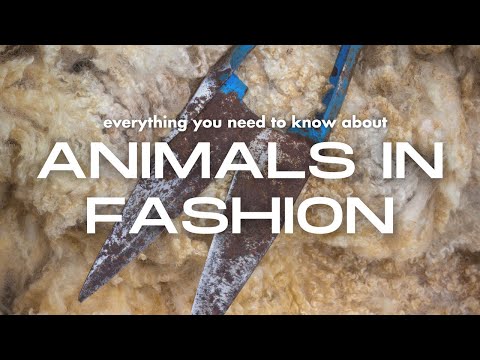 , title : 'Animals in fashion: everything you need to know in 12 minutes'