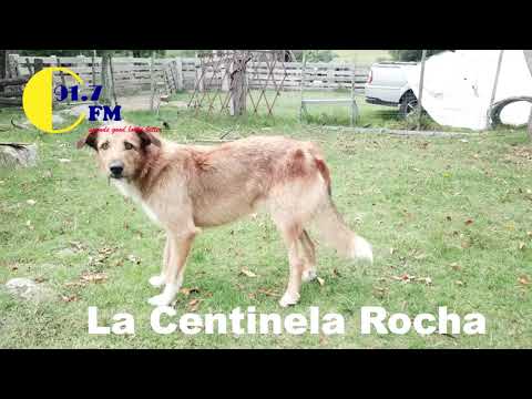 La centinela Rocha Uruguay