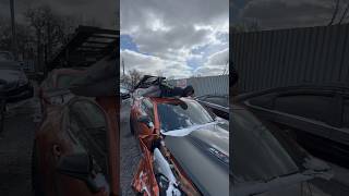 Hit the Sea Lion😂 #wrecked #camaro #sealion #funny #zl1