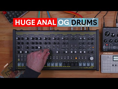 Banging the Box: Erica Synths Hexdrums Walkthrough and Jam