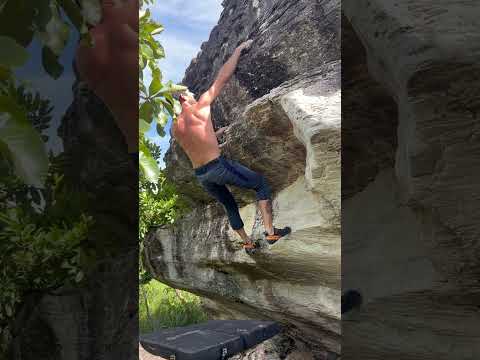 Cavalo Solto Sds V8/ 7B+ 🇫🇷 @ Cocalzinho de Goiás