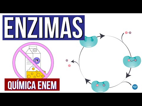 ENZIMAS: O que são, função, características e como funcionam | Aula de Química Enem. Larissa Campos