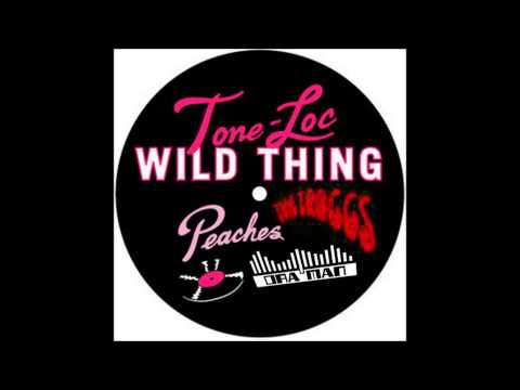 Troggs vs Tone Loc - Wild Thing (mashup)