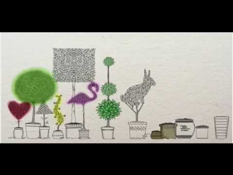 video thumnail