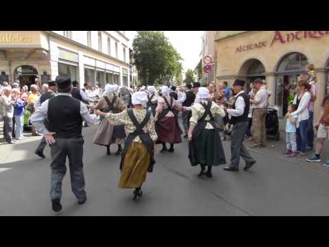 Festumzug 9. internationales Festival Danetzare in Erfurt (4)