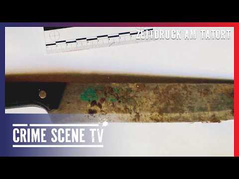 Tödlicher Hinterhalt | Zeitdruck am Tatort 19/22 | Crime Scene TV