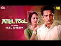 4K अप्रैल फूल April Fool 1964 Movie All Songs Biswajit Chatterjee Saira Banu Moham
