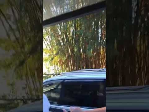 Conociendo la Costanera de Puerto Rico, Misiones Argentina