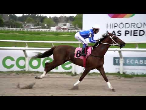 210924 c08 - LADY ASCOT  - HIPODROMO LAS PIEDRAS