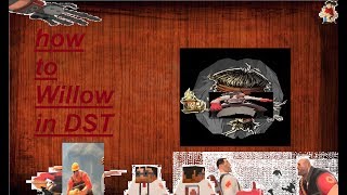 How To Be A Good Willow Main In DST