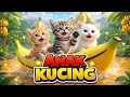 LAGU ANAK ANAK KUCING MEONG MEONG KITTEN SONG LAGU ANAK BALITA VIRAL
