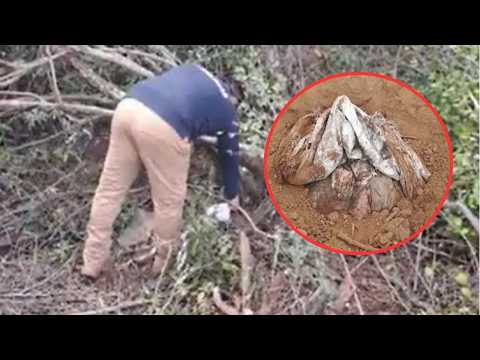 Hallazgo en Alto Paraguay: investigan posible crimen tras encontrar helicóptero y un cadáver