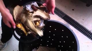How to Compost your Banana Peels and Fruit & Veg Scraps