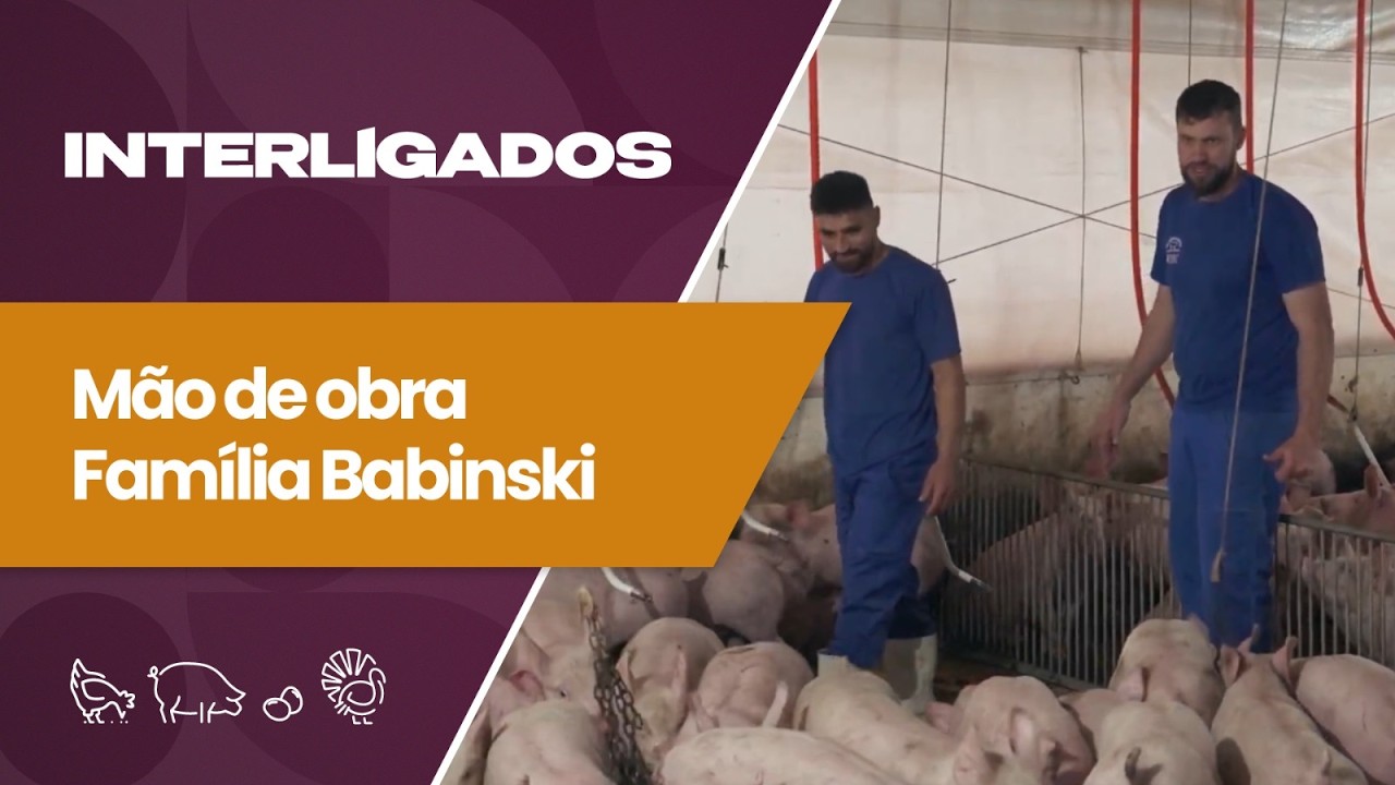 Escassez de mão de obra desafia propriedades rurais | Interligados