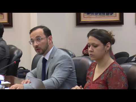 Audiencia Pública — Caso Rosadio Villavicencio vs. Perú (Parte 2)
