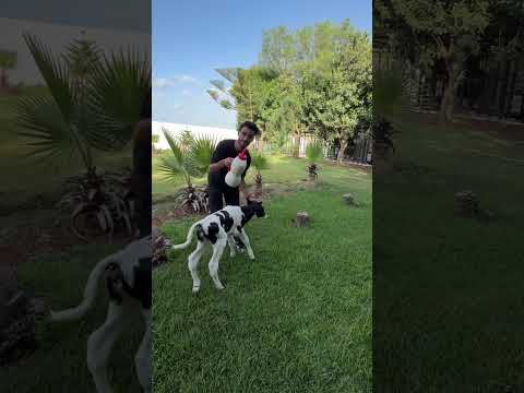 #المغرب #اكسبلور