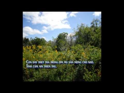 Hình như nắng vừa phai Sheet - Hương Giang