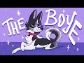 ✨ - here comes the boye - ✨