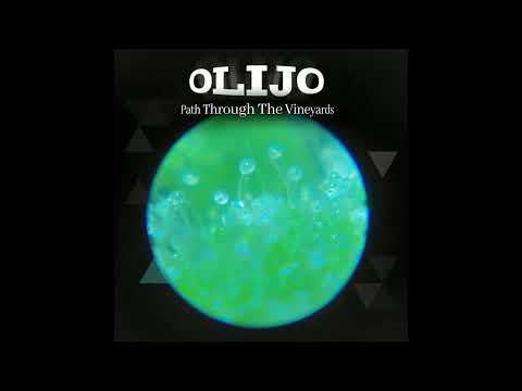 Olijo - Path Through the Vineyards (Full Album)