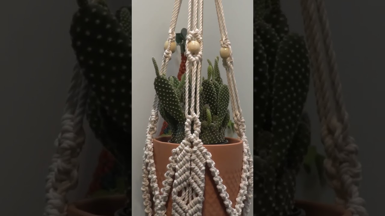 a Stunning Boho Macrame Plant Hanger for Your Home