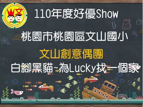 白腳黑貓~為LUCKY找一個家