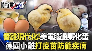 [問卦] 產蛋民營化，是不是錯誤的?