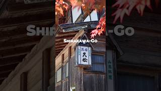 🇯🇵Visit this Japanese town in 2024! #shirakawago #japan