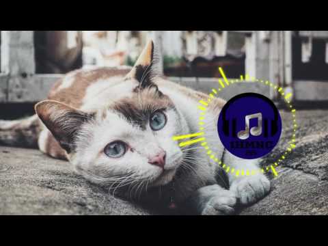 Electro Light ft. Kathryn MacLean - The Edge