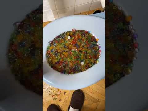 J'AI BOUCHE MES TOILETTES