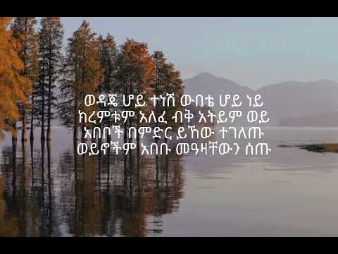 Azeb Hailu ye nefsie amharic worship song lyrics አዜብ ሀይሉ የ ነፍሴ የአማርኛ አምልኮ መዝሙር 🙏🙏🙌