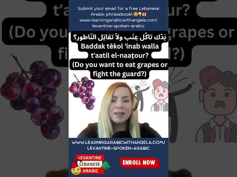 Do you want to eat grapes or fight the guard?  #levantinearabic #learnlebanese #colloquialarabic