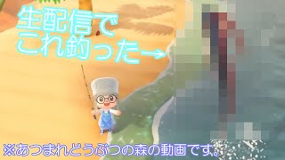 【あつまれどうぶつの森】テスト配信で深海魚を釣る男