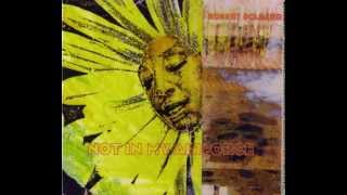 Robert Pollard - King Of Arthur Avenue