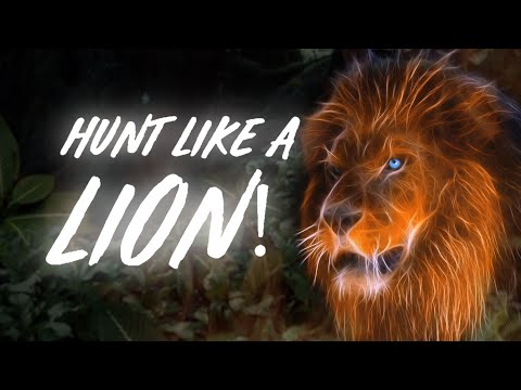 EES - "Hunt Like A Lion" feat. Lioness (Lyrics Video)