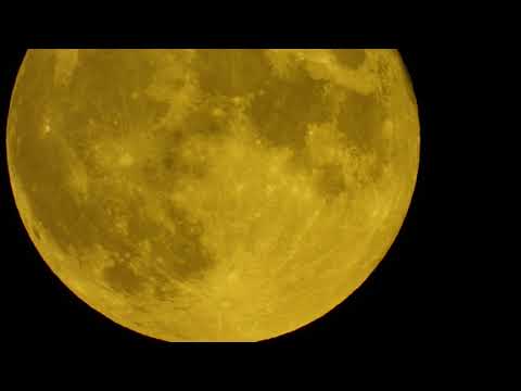 Blue Moon 22.08.2021