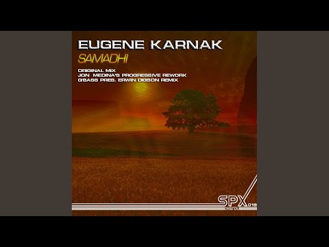 Samadhi (Q'Bass pres. Erwin Digson Remix)