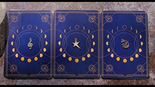 What Is Starting In Your Life? 🌚 New Moon Reading 🌚 Pick A Card