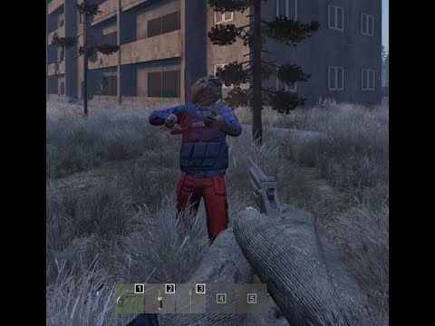 A Nice Little DayZ Derringer 2 Tap
