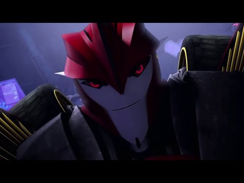 Knockout Tribute TFP