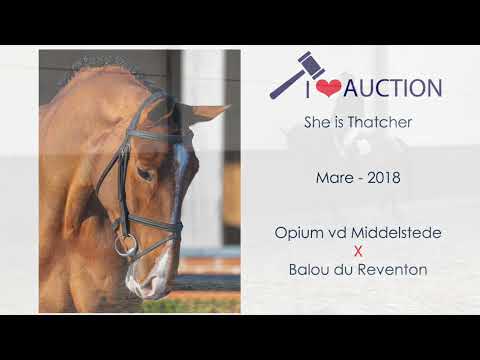 She is Thatcher Movements