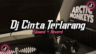 Download lagu Dj Cinta Terlarang Ilir7 ( Slowed   Reverd )🎧 mp3