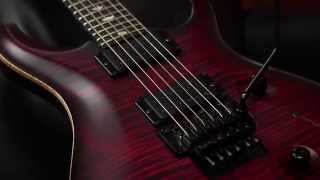 Video thumbnail for The PRS Dustie Waring Limited Edition "Floyd" Custom 24 by PRS Guitars