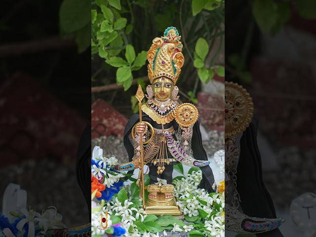 હરિકૃષ્ણ મહારાજ