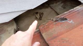 How to Find a Roof Leak - Finally, There it is!! - Part 4