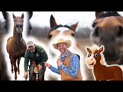 Two men stand with horses on a farm, smiling at the camera, with a cartoon horse right of center.