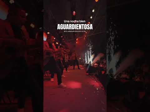 Una noche aguardientosa Pensilvania  #elandariego #músicapopular #ayyamasita #guaroguaro